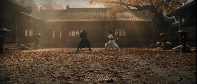 Cinematic Wuxia Combat Sequence